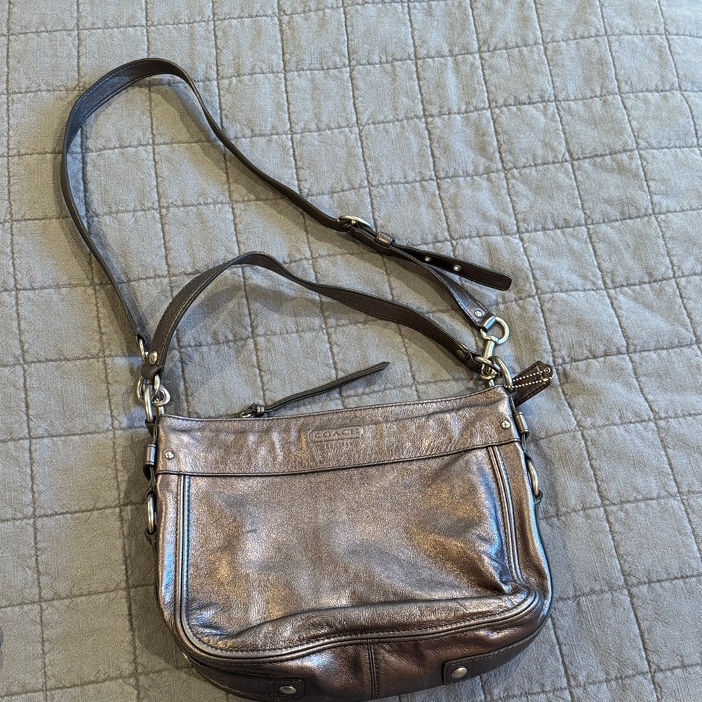 Coach Metallic Shoulder Bag